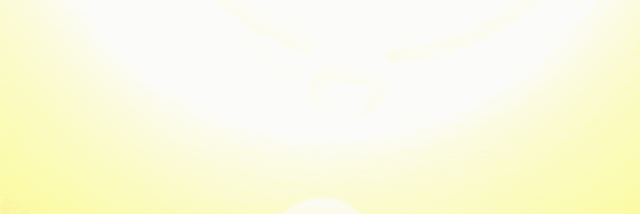 1.gif
